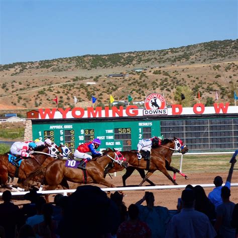 wyoming downs sports book